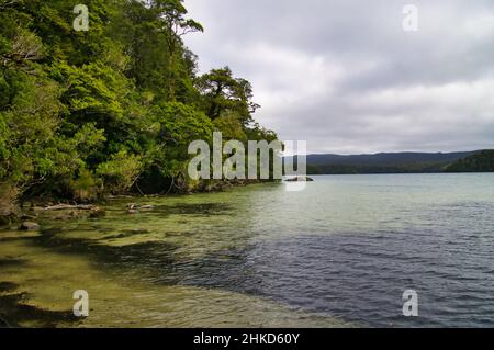 Le lac Waikareiti, situé au cœur de la forêt tropicale du parc national de te Urewera, sur l'île du Nord, en Nouvelle-Zélande, est accessible à pied. Banque D'Images