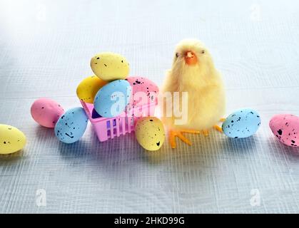 Œufs de Pâques et poussin jaune sur fond gris.Le concept minimal.Carte de Pâques. Banque D'Images