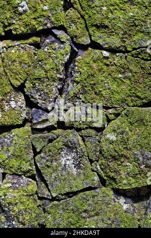 Mur de pierre avec moss background Banque D'Images