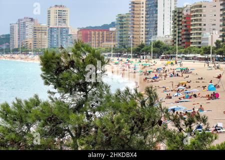 La belle ville de Platja d'Aro (Gérone) l'une des stations touristiques les plus populaires au coeur de la Costa Brava, Espagne Banque D'Images