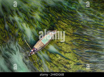 Vue aérienne du bateau faisant son chemin à travers les algues, Bogra, Bangladesh Banque D'Images