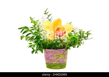 Bouquet de fleurs fait à la main dans un petit pot attaché avec du fil sur fond blanc.Délicat bouquet de fleurs pour un cadeau ou un cadeau pour un Banque D'Images