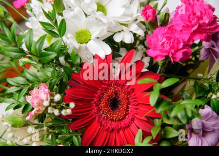 Fleurs fraîches de printemps.Bouquet de fleurs de printemps.Magnifique bouquet de fleurs de gerbera et de fleurs de camomille Banque D'Images