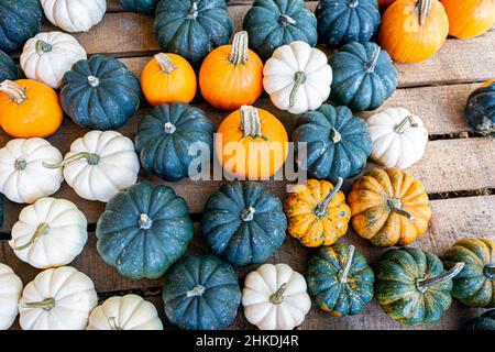 Vue en hauteur de petits mini-citrouilles assortis sur une palette en bois. Banque D'Images