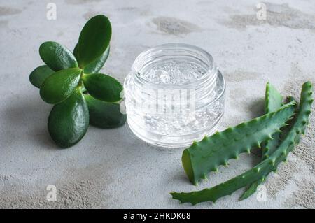 Texture de gel avec des bulles d'acide hyaluronique et des branches d'aloe vera dans un pot de verre sur un fond de béton Banque D'Images