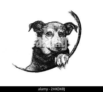 Portrait d'un chien dans un demi-cercle avec un paw reposant.Graphique noir et blanc.Dessin au stylet. Banque D'Images