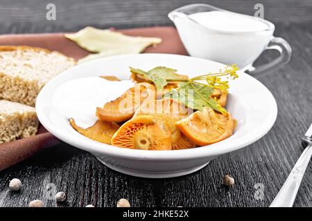 Safran de champignons salés à la crème aigre, feuille de cassis et branche d'aneth dans l'assiette, la fourchette, la serviette et le pain sur fond de bois sombre Banque D'Images