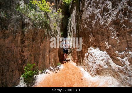 Lumpkin, Géorgie, États-Unis- 6 juin 2021 : un randonneur de sexe masculin regarde le téléphone et sort de l'une des étroites crevasses du parc national de Providence Canyon à Banque D'Images