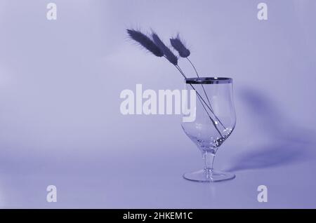 Un verre de vin vide et un bouquet de fleurs lagurus séchées Banque D'Images