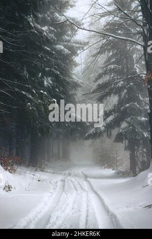 Route forestière enneigée entre les sapins enneigés et les pins dans une forêt d'hiver dans la brume glacée Banque D'Images