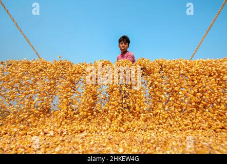 Les agriculteurs font des cornes/maïs prêts à la vente Banque D'Images