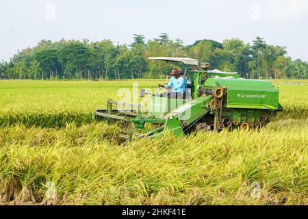 La récolteuse automatique de riz est utilisée pour la récolte des champs et elle est mûre et jaune en saison de récolte. Augmentation de la vitesse de la moissonneuse-batteuse. Banque D'Images