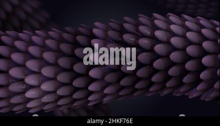 Arrière-plan abstrait fantaisie avec queue de dragon violet en mouvement.Le reptile brillant met la texture en balance.3D illustration Banque D'Images