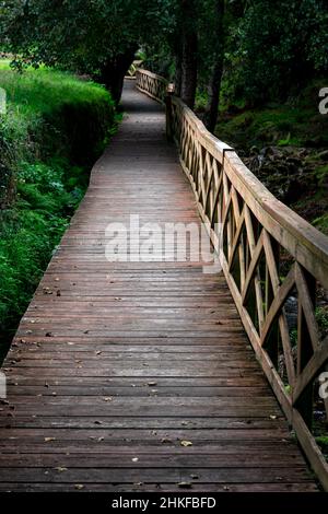 Baredo moulins chemin de pied en bois à Pontevedra, Galice. Banque D'Images