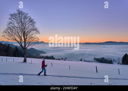 Femme senior, sno randonnée au coucher du soleil dans la région de Bregenzer Wald du Vorarlberg, Autriche avec vue spectaculaire sur le mont suisse Saentis sur une mer de brouillard, Banque D'Images