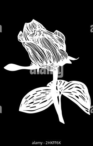 dessin vectoriel noir et blanc d'une belle fleur de rose en fleurs Banque D'Images