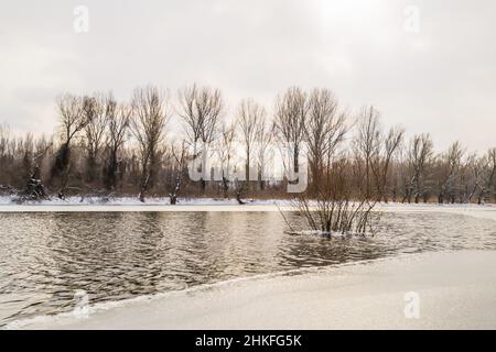 Panorama du affluent gelé du Danube près de la ville de Novi Sad Photo ...