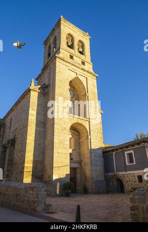 Espagne, Castille et León, Hontanas, scène sur la Camino Francés, route espagnole du pèlerinage à Saint-Jacques-de-Compostelle, classée au patrimoine mondial de l'UNESCO, église Immaculée conception Banque D'Images