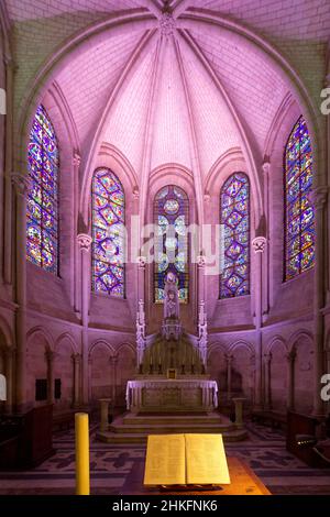 France, Aube, Troyes, Cathédrale Saint Pierre et Saint Paul, Chapelle axiale de la Vierge Banque D'Images