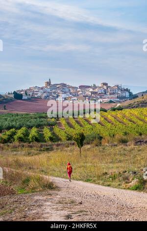 Espagne, Navarre, Ciruqui (Zirauki), randonnée sur le Camino Francés, route espagnole du pèlerinage à Saint-Jacques-de-Compostelle, classé au patrimoine mondial de l'UNESCO Banque D'Images