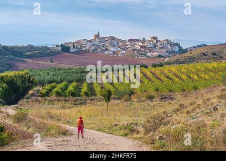 Espagne, Navarre, Ciruqui (Zirauki), randonnée sur le Camino Francés, route espagnole du pèlerinage à Saint-Jacques-de-Compostelle, classé au patrimoine mondial de l'UNESCO Banque D'Images