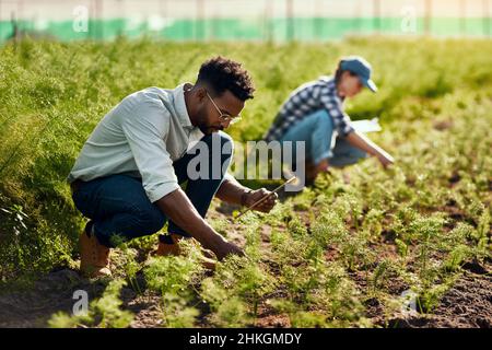 Vivre la vie la voie verte.Gros plan d'un jeune agriculteur de sexe masculin, qui travaille dans sa ferme avec une collègue de sexe féminin en arrière-plan. Banque D'Images