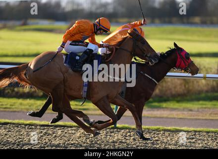 Gloire nordique criée par le jockey William Carson (à côté) sur le chemin de gagner le jeu Coral Racing-Super-Series for Free Handicap devant Fair and Square et Rossa Ryan à Lingfield Park Racecourse, Surrey.Date de la photo : vendredi 4 février 2022. Banque D'Images