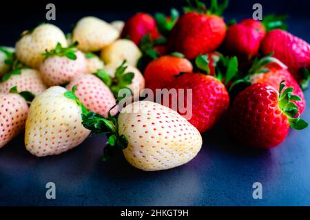 Gros plan vue sur les framboises entières et les fraises : fraises rouges et blanches fraîches sur fond sombre Banque D'Images