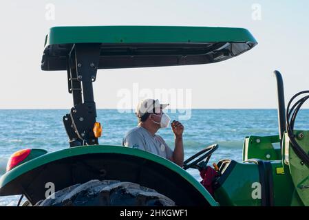 Opérateur mexicain avec Covid19 masque facial dans un tracteur sur la plage pour le nettoyage de sargasso à Playa del Carmen, Mexique Banque D'Images