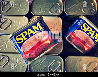 Moules de viande de Spam, USA Banque D'Images