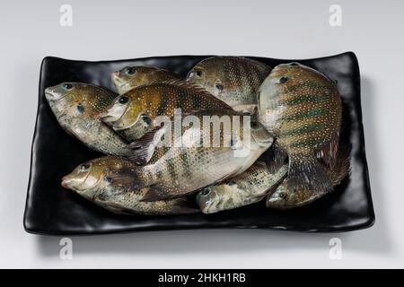 Poisson frais cru Kari meen Pearl spot disposé dans un rectangle noir table ware Banque D'Images