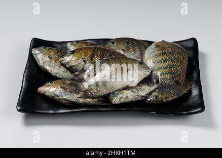 Poisson frais cru Kari meen Pearl spot disposé dans un rectangle noir table ware Banque D'Images