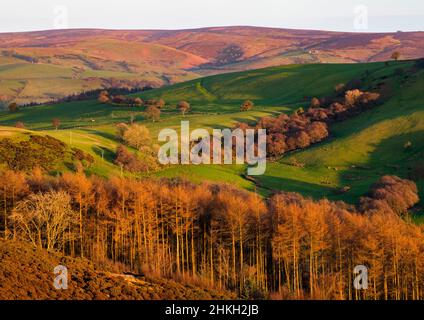 Lumière du soir sur la colline de Linley et le long Mynd, vu de Stiperstones, Shropshire. Banque D'Images