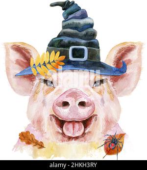 Mignon piquant dans chapeau de sorcière.Pig pour motifs T-shirt. Banque D'Images