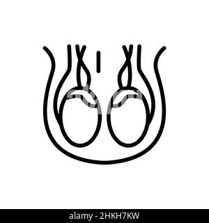 Icône de ligne de couleur scrotum d'organe humain.Elément vectoriel isolé.Pictogramme de contour pour la page Web, l'application mobile, la promotion Illustration de Vecteur