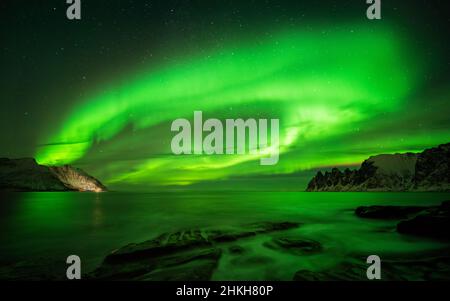 Plus Tugeneset Aurora côte rocheuse avec Okshornan montagnes en arrière-plan, Senja, Norvège Banque D'Images