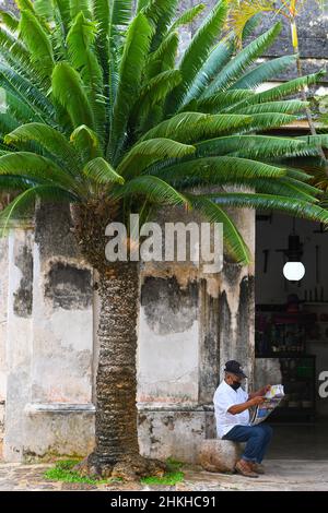 Vieil homme lisant un journal, Hacienda Yaxcopoil, Yucatan Mexique Banque D'Images