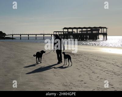 Un homme senior marche ses chiens sur la plage près de la jetée sur l'île Jekyll, Géorgie, États-Unis, une destination de luxe populaire de voyage lent. Banque D'Images