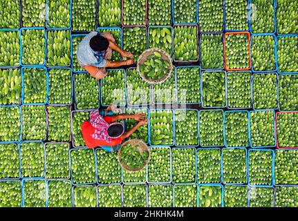 DCIM100MEDIADJI 0712.JPG Banque D'Images