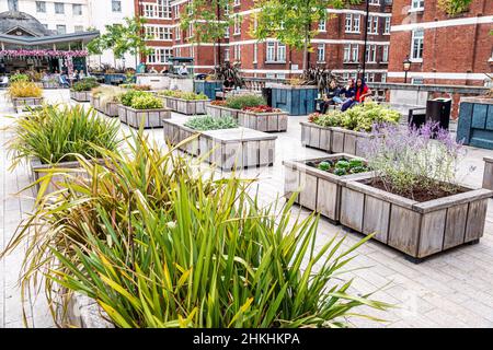 Londres Angleterre,Royaume-Uni,Mayfair,Brown Hart Gardens,jardin public,terrasse surélevée planteurs Old Duke Street électricité sous-station architecte Stanley Peach Banque D'Images