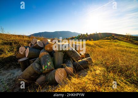 Tas de bois de chauffage haché se trouve sur l'herbe sèche dans les hautes terres contre les montagnes lointaines entourées de brouillard sous le ciel bleu au soleil d'automne coucher de soleil Banque D'Images