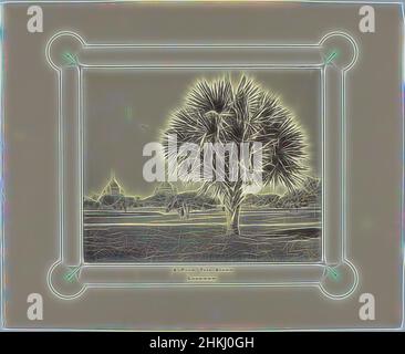 Inspiré par le palmier à Lucknow, Une étude sur le palmier, Lucknow, Samuel Bourne (signé par l'artiste), Lucknow, 1864 - 1866, papier, imprimé albumine, Hauteur 234 mm × largeur 288 mm hauteur 393 mm × largeur 480 mm, repensé par Artotop. L'art classique réinventé avec une touche moderne. Conception de lumière chaleureuse et gaie, de luminosité et de rayonnement de lumière. La photographie s'inspire du surréalisme et du futurisme, embrassant l'énergie dynamique de la technologie moderne, du mouvement, de la vitesse et révolutionne la culture Banque D'Images