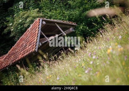 Lodge en bois en face d'une forêt Banque D'Images