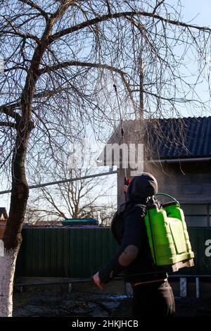 Agriculture écologique biologique.Défoquer l'homme fermier pulvérisant l'arbre avec un pulvérisateur manuel de pesticides contre les insectes dans le jardin de printemps.Agriculture et garde Banque D'Images