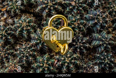Gros plan du cadenas d'amour en forme de coeur doré et clé sur un petit fond de pile de cactus.Concept de la Saint-Valentin, espace de copie, mise au point sélective. Banque D'Images