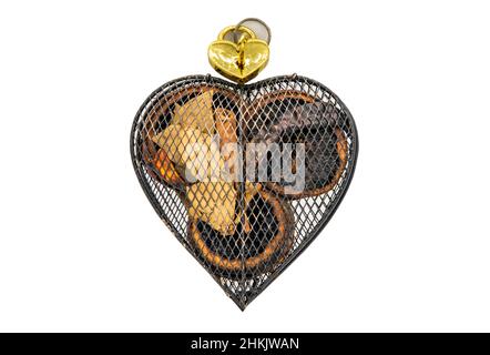 Cadenas doré en forme de coeur placé sur boîte de fruits secs en forme de coeur isolé sur fond blanc avec passe-cheveux.Concept de la Saint-Valentin, se Banque D'Images