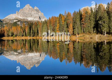 Lago d'Antorno dans les Dolomites en automne, Italie, Tyrol du Sud, Dolomites Banque D'Images