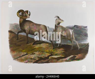 Art inspiré par Rocky Mountain Sheep, John James Audubon, américain, né en Haïti, 1785-1851, Lithographie, 1845, 21 x 27 po., 53,3 x 68,6 cm, faune, flore, cornes, paysage, mammifères, étude de la nature, roches, ruminants, ongulant, Œuvres classiques modernisées par Artotop avec une touche de modernité. Formes, couleur et valeur, impact visuel accrocheur sur l'art émotions par la liberté d'œuvres d'art d'une manière contemporaine. Un message intemporel qui cherche une nouvelle direction créative. Artistes qui se tournent vers le support numérique et créent le NFT Artotop Banque D'Images