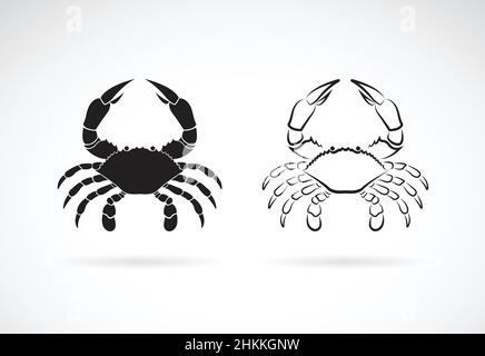 Vecteur de deux crabes sur fond blanc,.Animaux.Icône crabe.Créature marine.Illustration vectorielle superposée facile à modifier. Illustration de Vecteur
