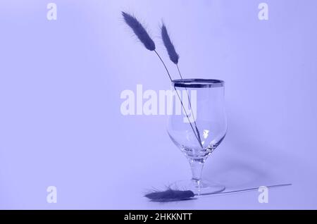 Un verre de vin vide et un bouquet de fleurs lagurus séchées Banque D'Images